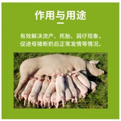 益母生化散武当猪优A兽药活血祛瘀清宫消炎促发情猪药（1.5kg/袋）