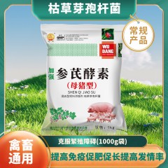 混合型饲料添加剂枯草芽孢杆菌参芪酵素（母猪型）1kg益生菌母猪繁殖障碍