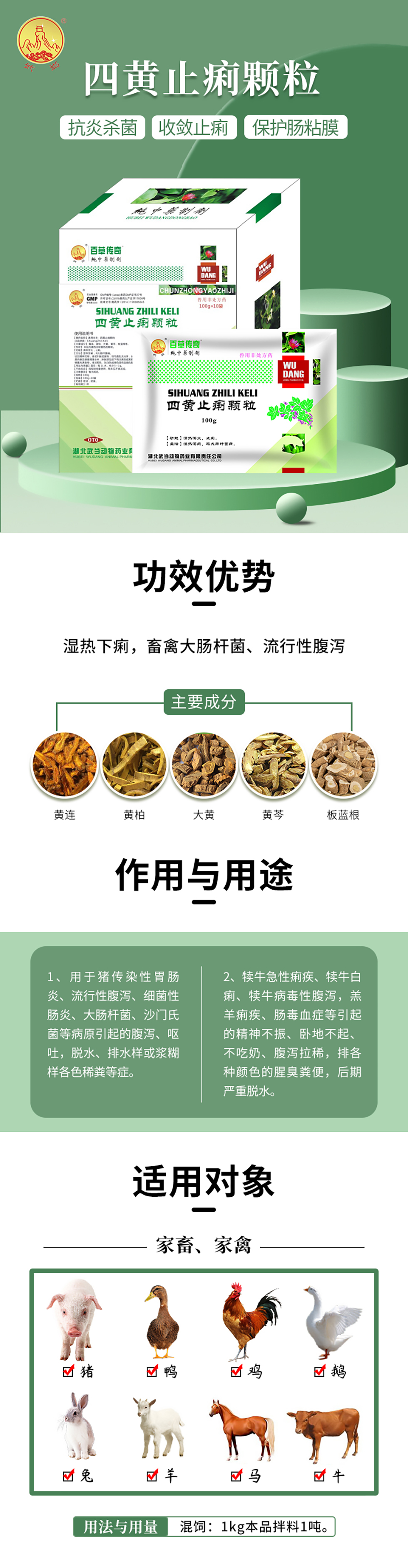 大.jpg