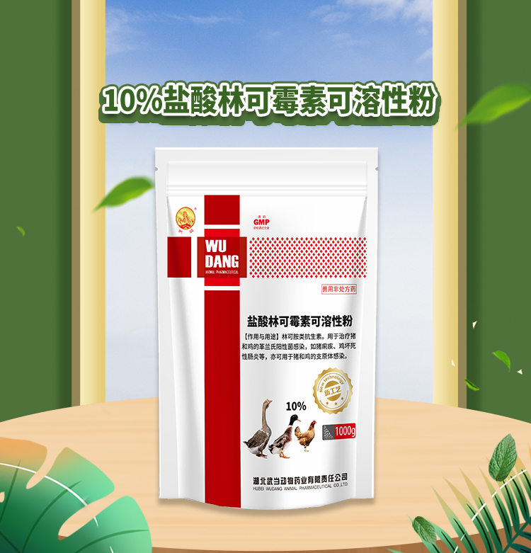 10%盐酸林可霉素可溶性粉1000g_01.jpg