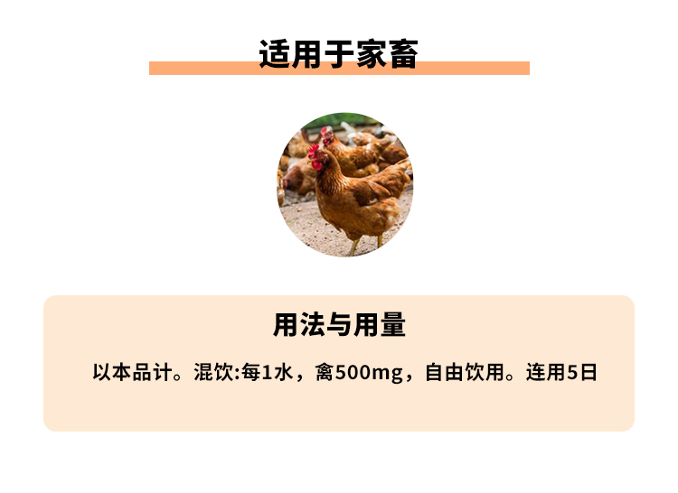 25%维生素C可溶性粉500g_04.jpg