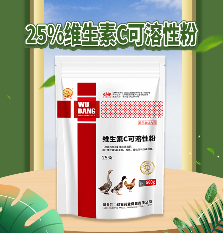 25%维生素C可溶性粉500g_01.jpg