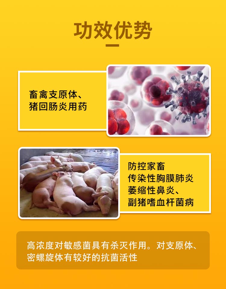 45%延胡索酸泰妙菌素可溶性粉1000g_02.jpg