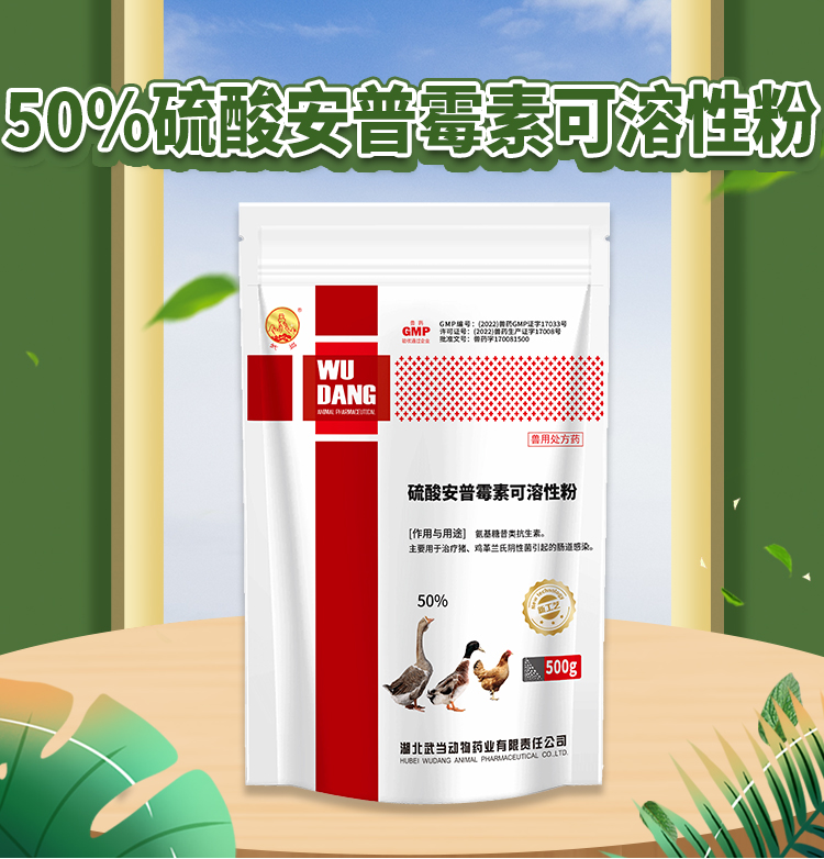 50%硫酸安普霉素可溶性粉500g_01.jpg