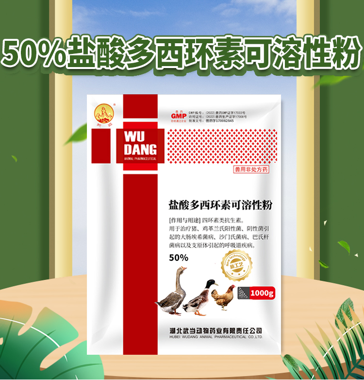 50%盐酸多西环素可溶性粉1000g详情_01.jpg