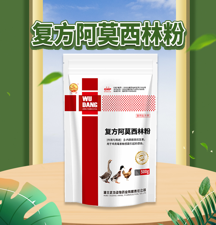 复方阿莫西林粉500g_01.jpg