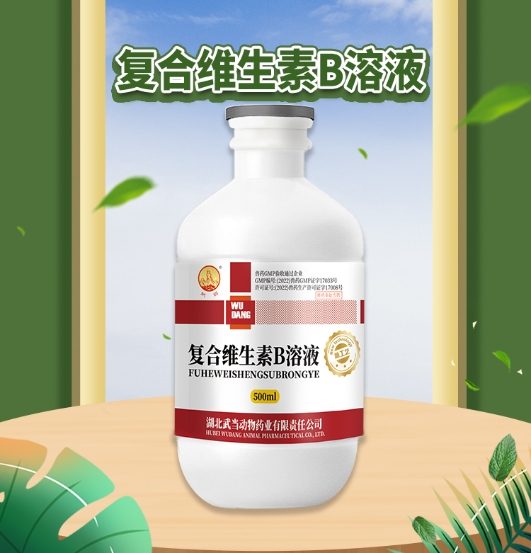 复合维生素B溶液500ml_01.jpg