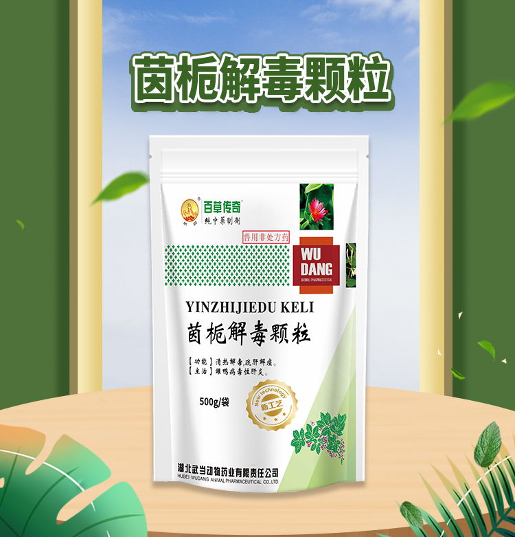 茵栀解毒颗粒500g_01.jpg