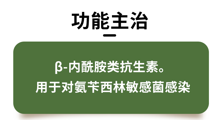 注射用氨苄西林钠1gx10_02.jpg