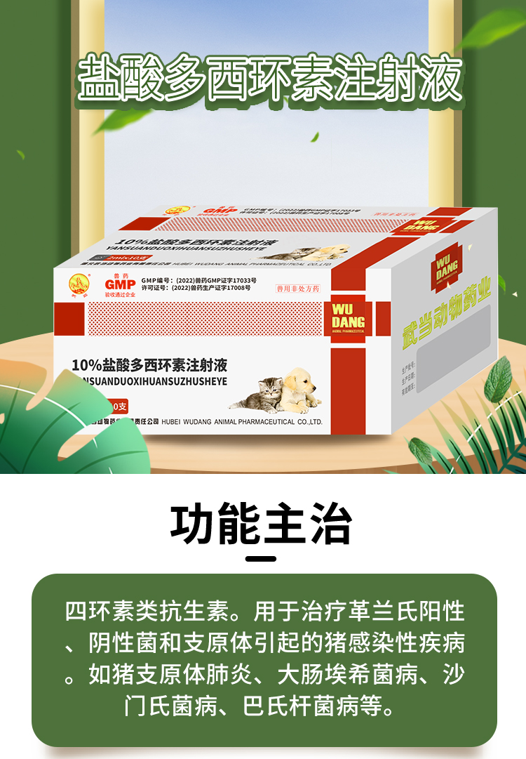 盐酸多西环素注射液_01.jpg