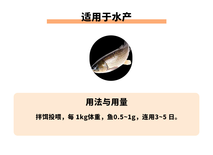 板蓝根末100g_03.jpg